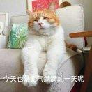 小鱼儿