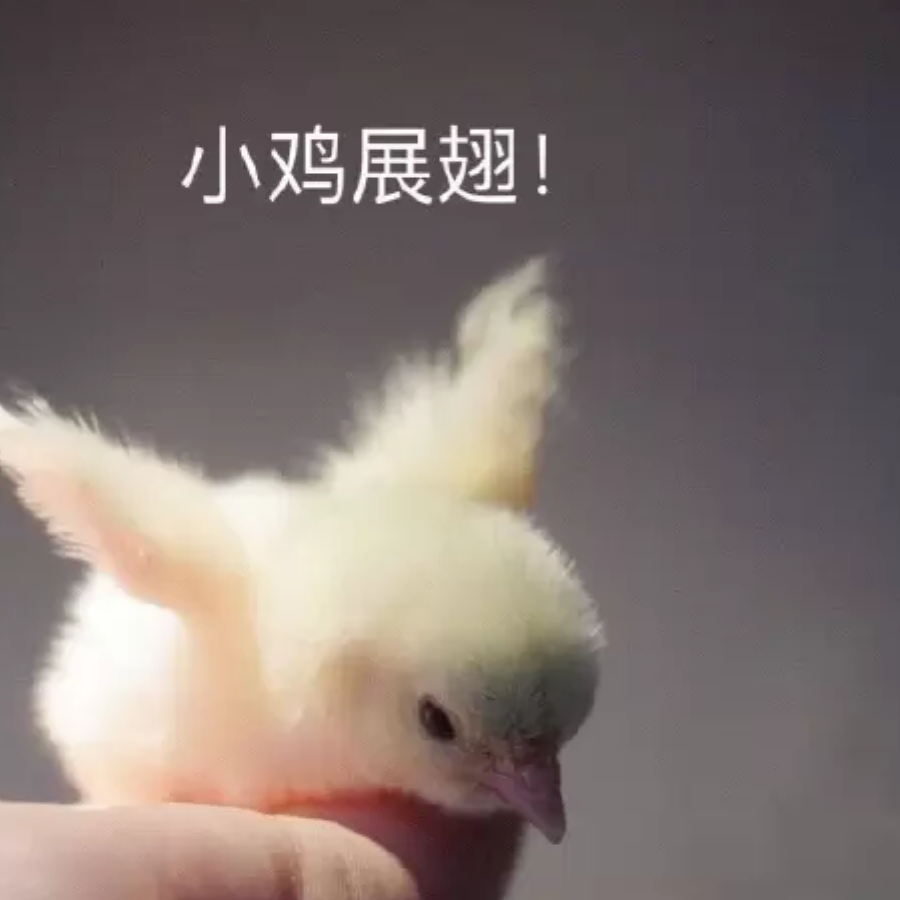 尹止墨