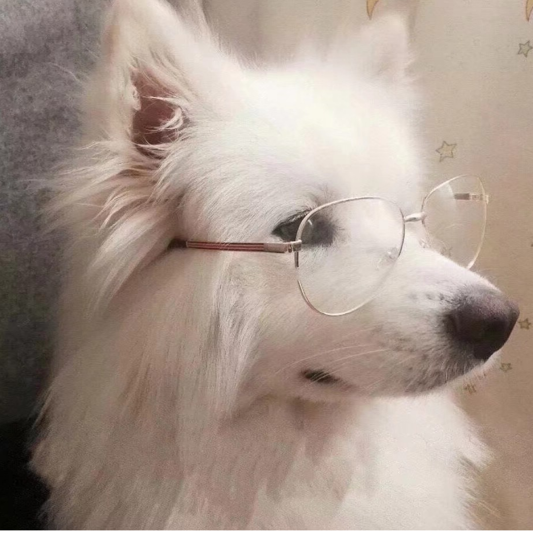 九玖