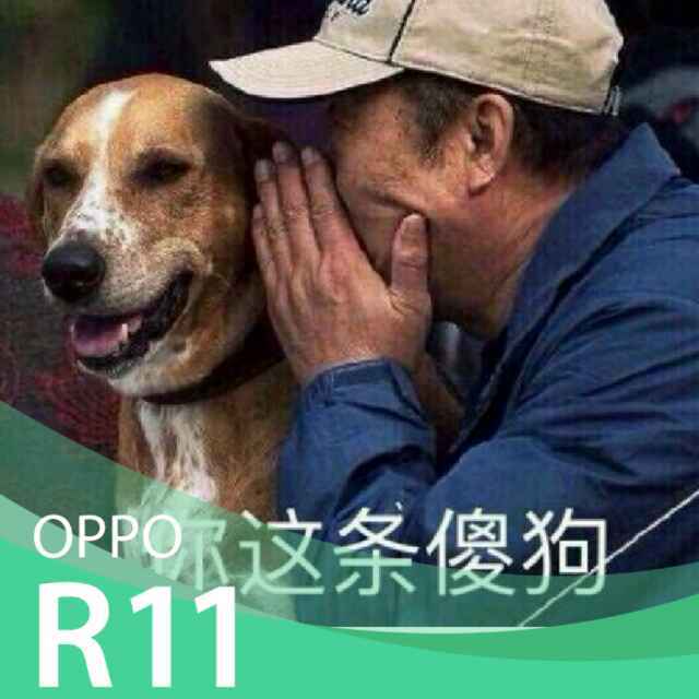 肝是捡来的