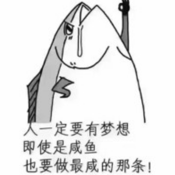 一条咸鱼