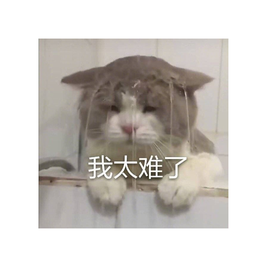 呵忒Mhy