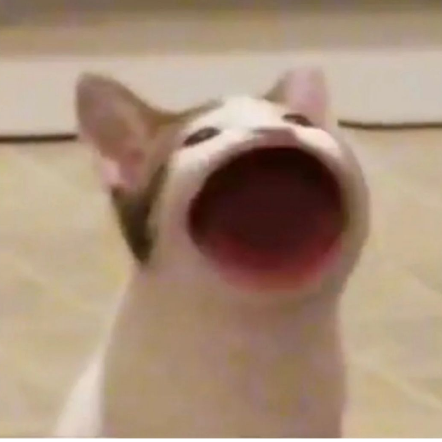 姬青