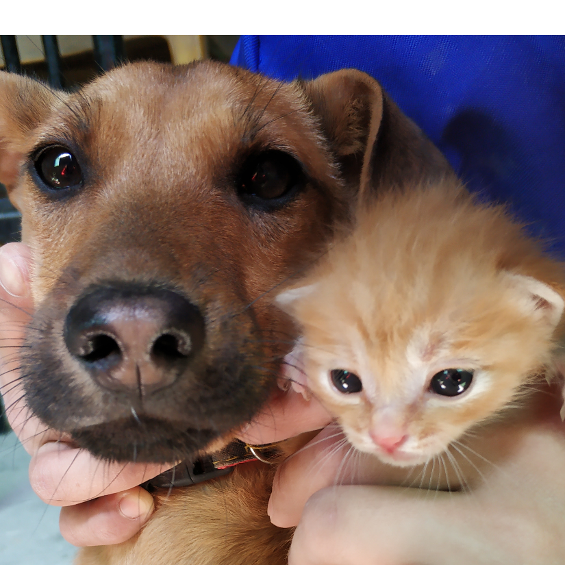 九萧萧兮风云上