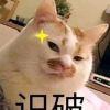 肥宅小仓鼠