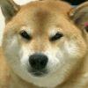 咸酱