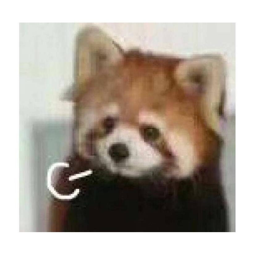 来ۣۖิۣ世ۣۖิۣ