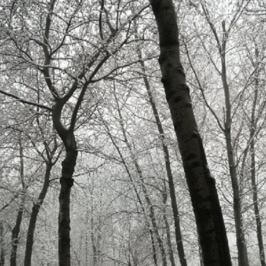 tap给孙子预约游戏