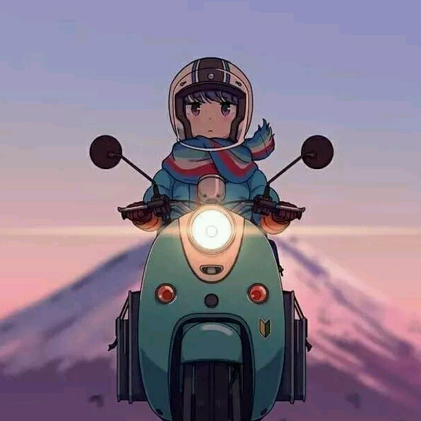 蓝花丹