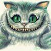 小猪憨尼