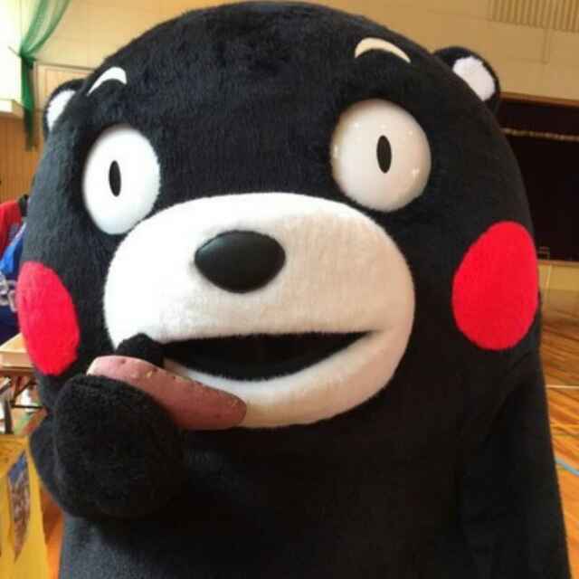 ԅ(¯﹃¯ԅ)熊