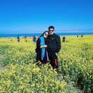 HuangML