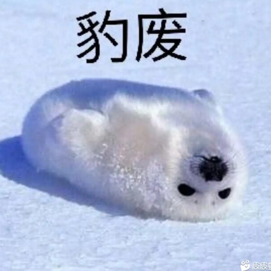 豹废
