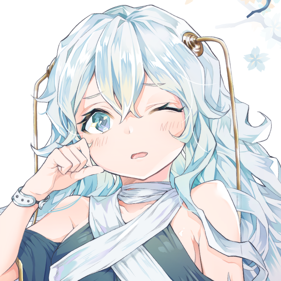 白鲨梦