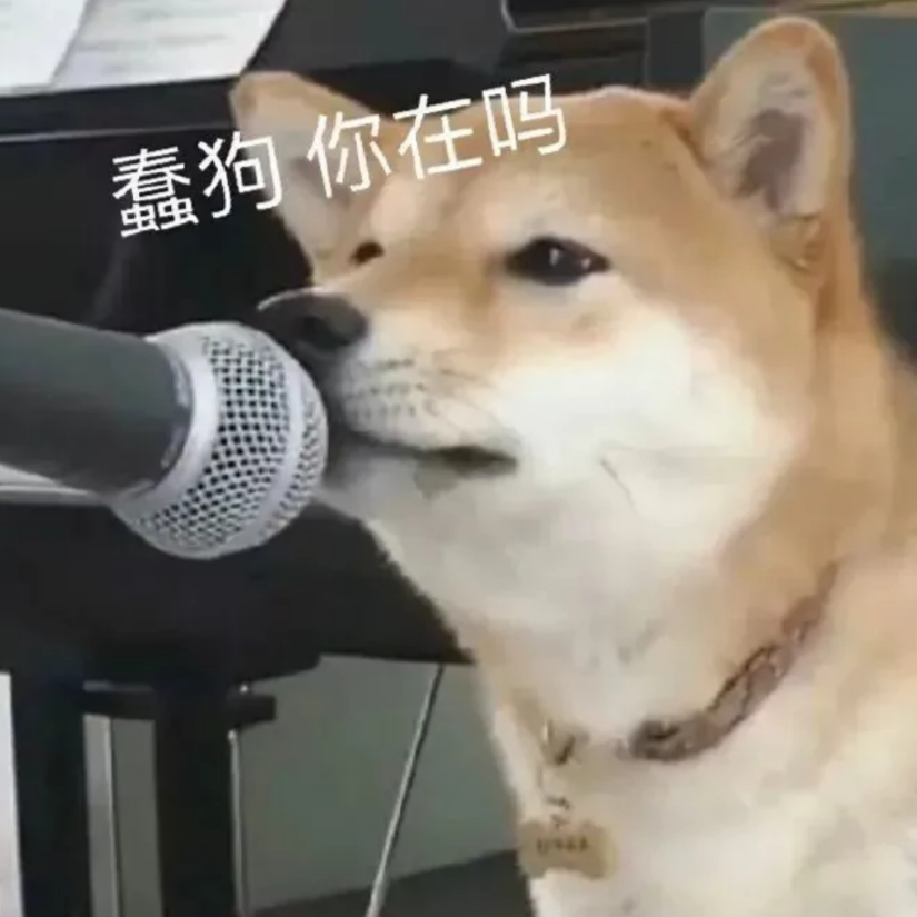 紫暮灬思念