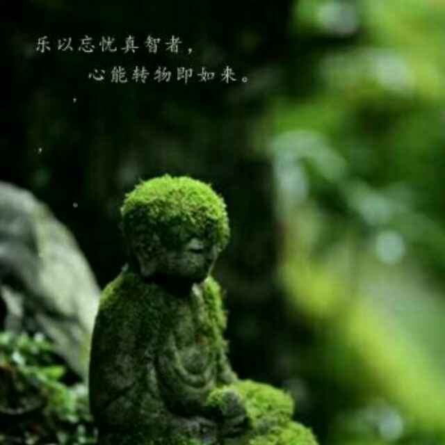 菩提本无树，明镜亦非台