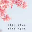 天将夜白