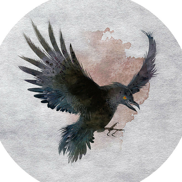 Raven