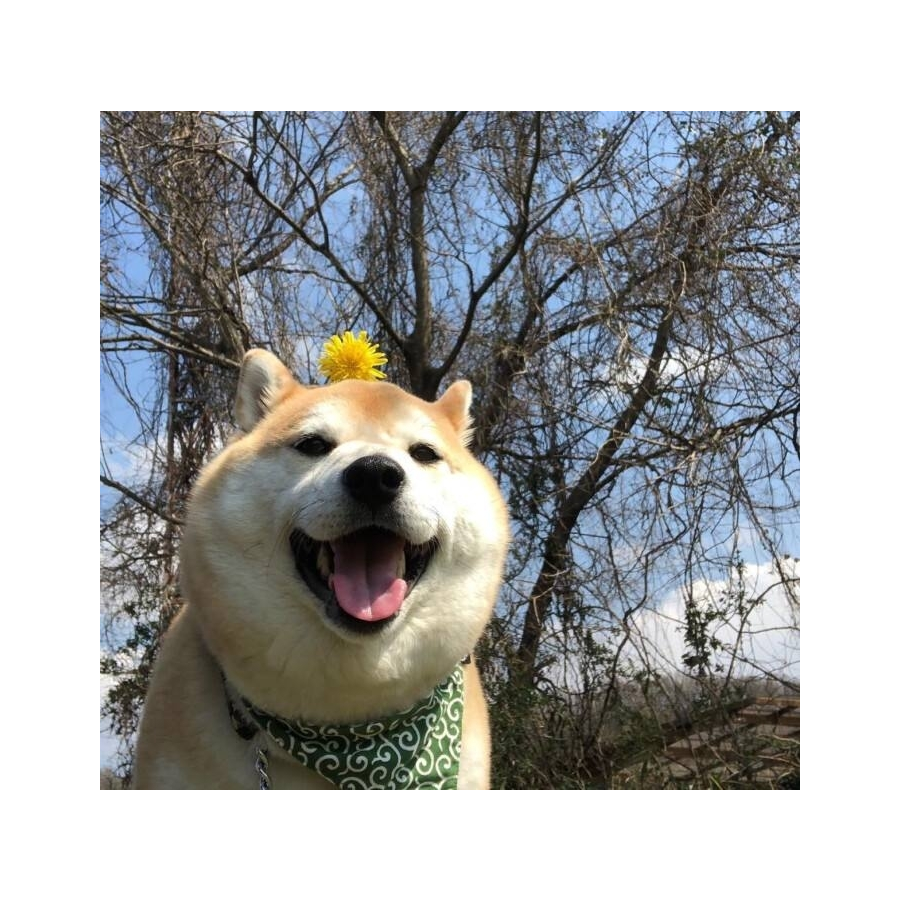 手机用户34325059