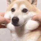 Sun_