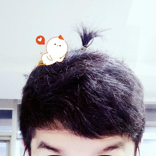 _Ƭ℘。.