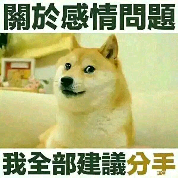 土狗吃月饼