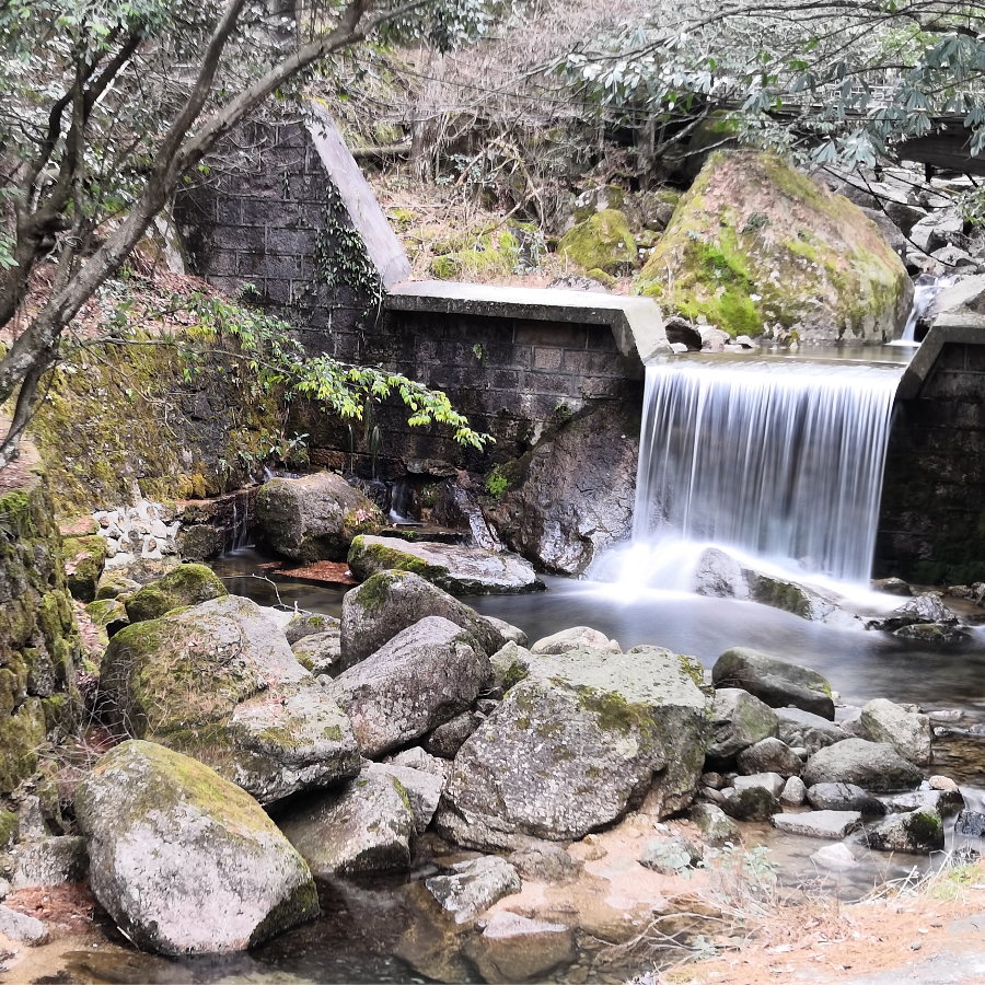 木昜
