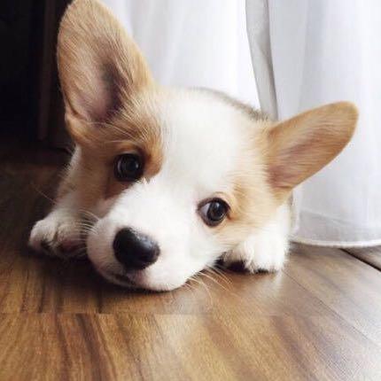 刘铮จุ๊บ
