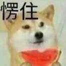 奇