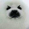 硝酸锂
