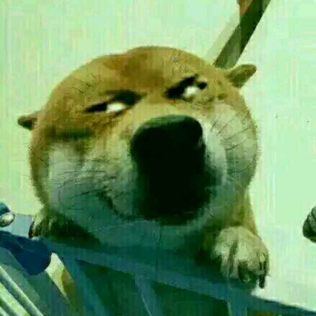 宿