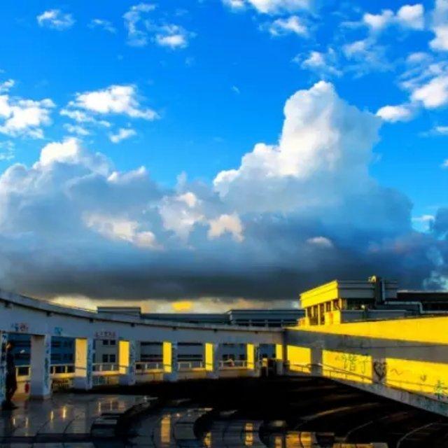 逼疯强迫症还不简