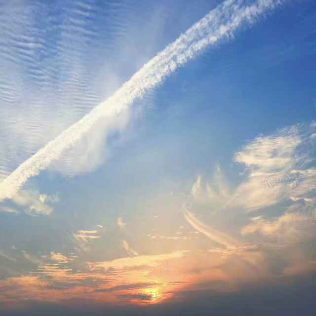 月夕夜
