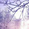 User28091025