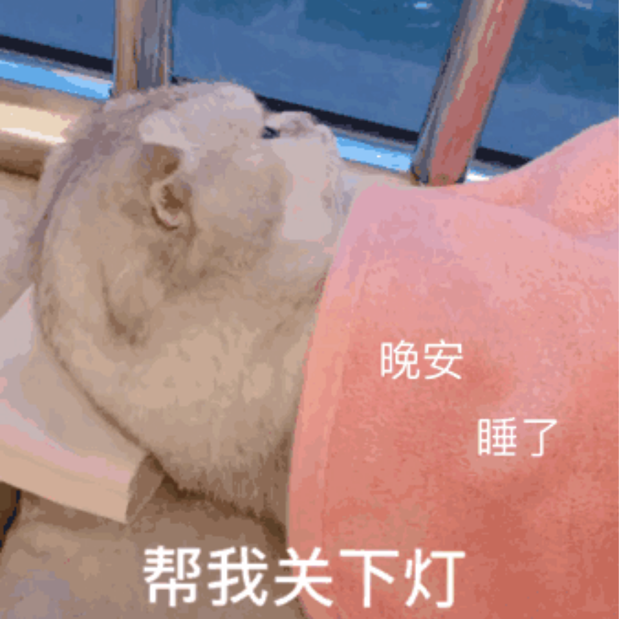 白白白