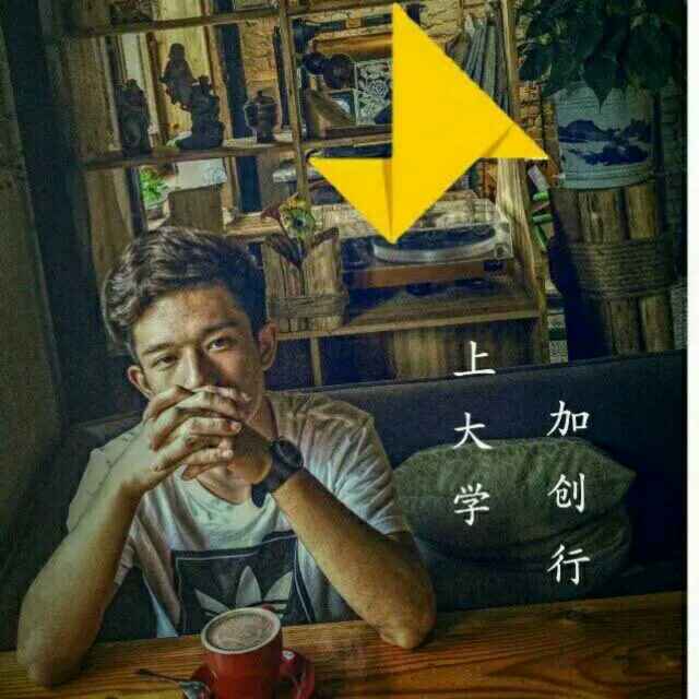 二棕榈酰卵磷脂