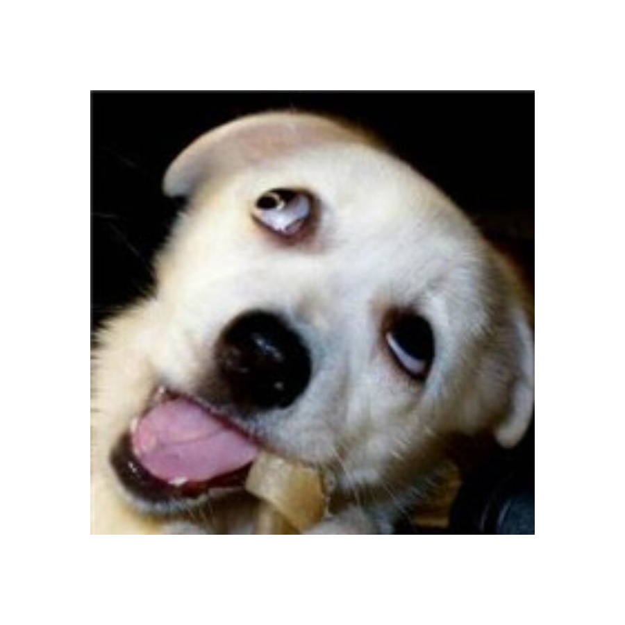 ̶獨̶家̶贊̶助̶