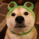 权