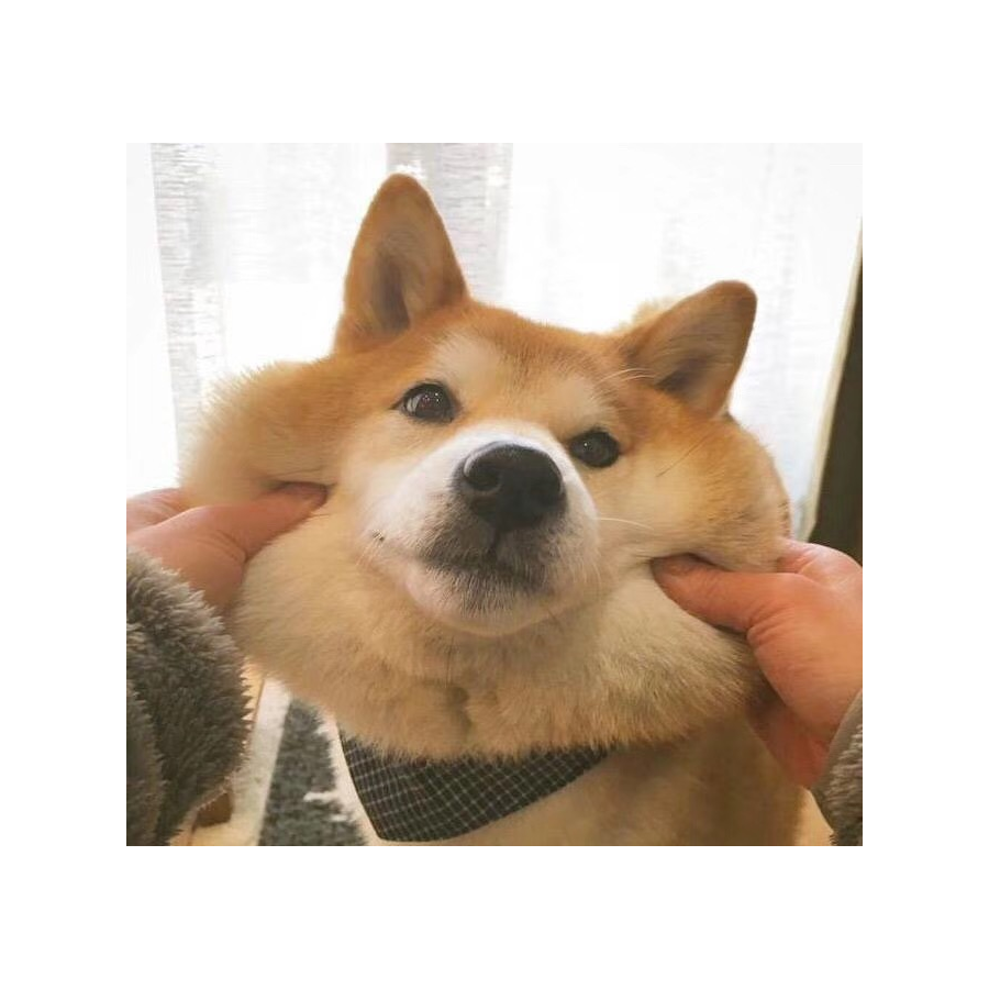 奇奇怪怪