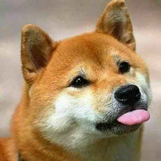 狰。