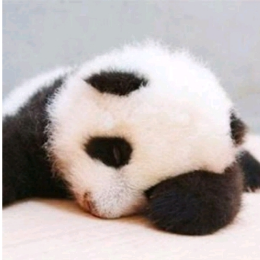 绾鸢
