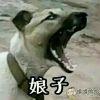零下十度