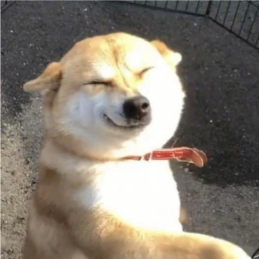 皮上下丘
