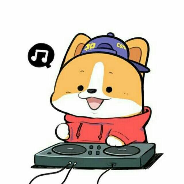Bekun也就是B菌