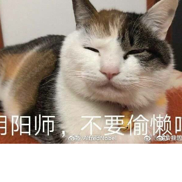 酒肆