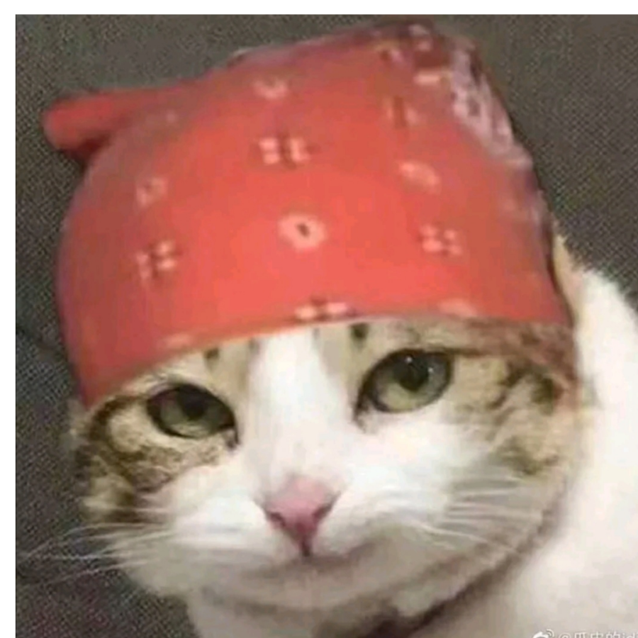 忑。