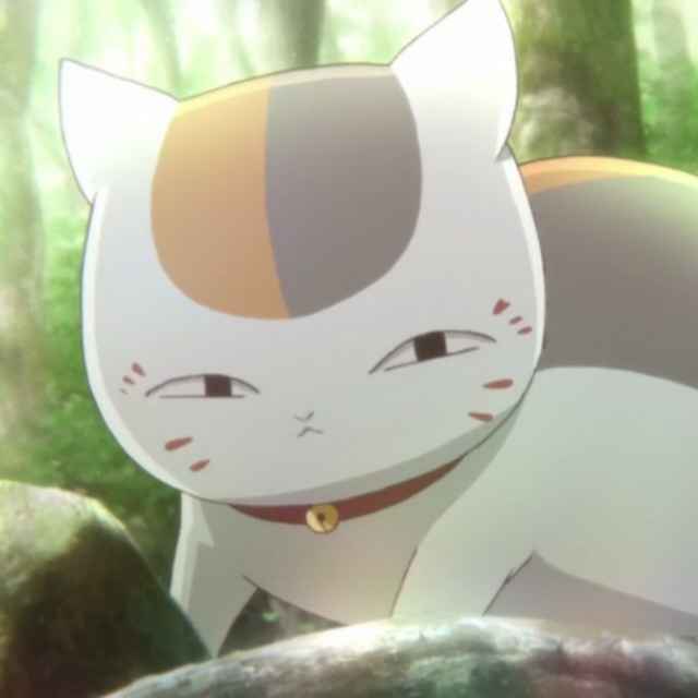 张宇达