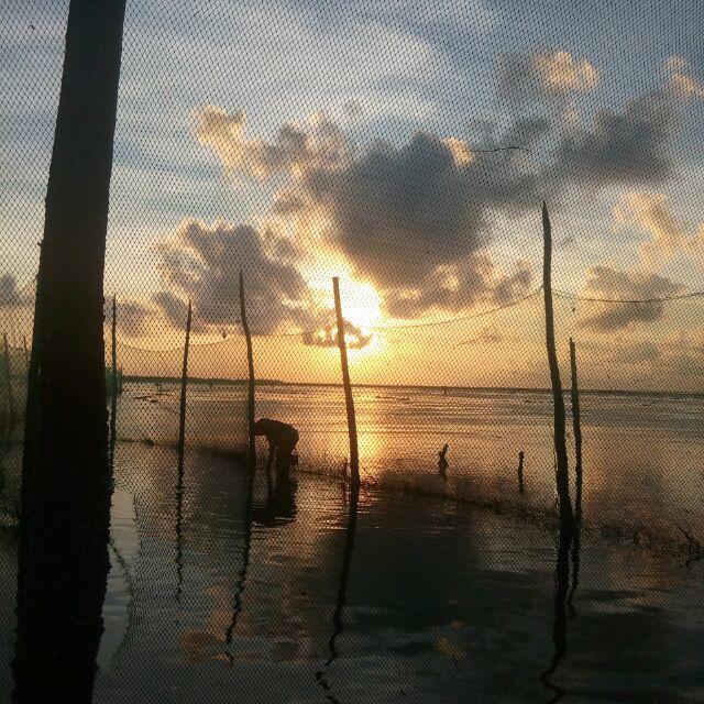 ヽ(・ω・｀)ノ=з=з=з