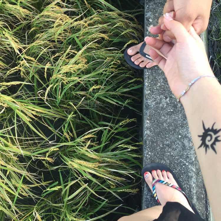 木