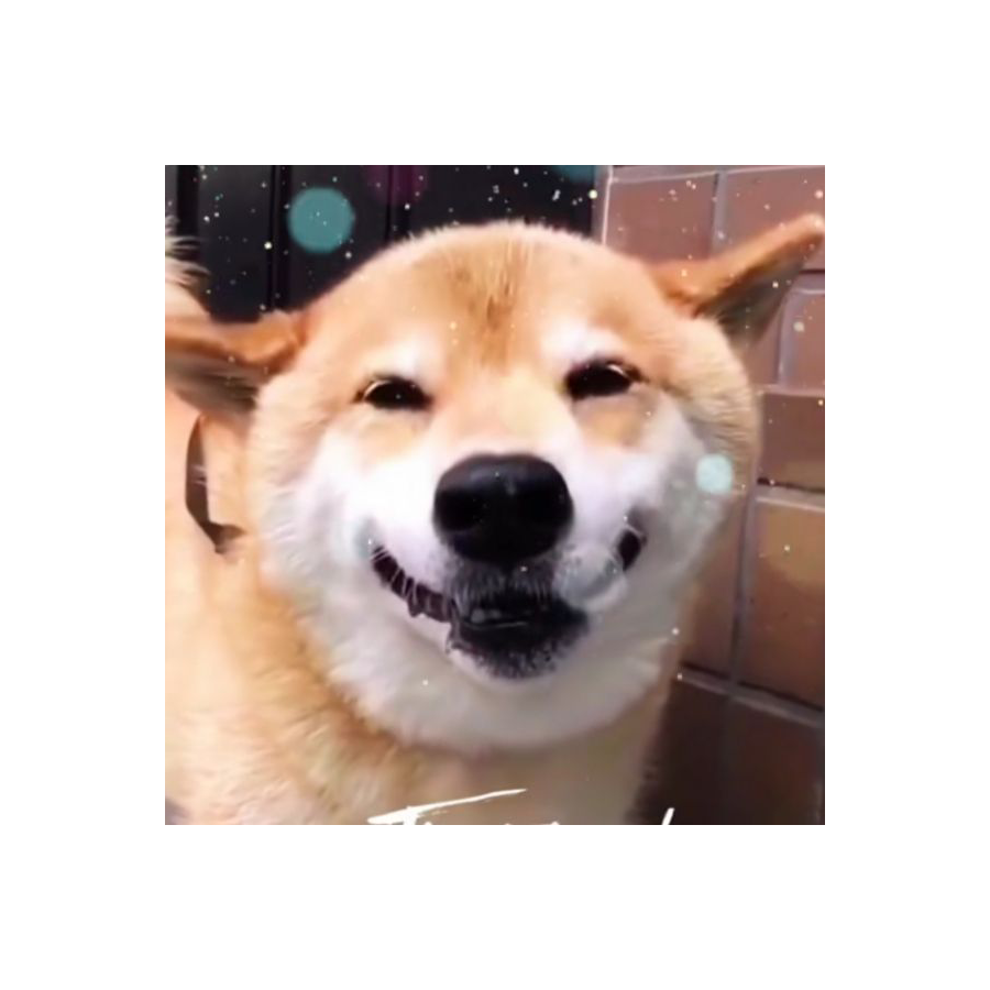 ミ灬华灯绯伤凉薄人/